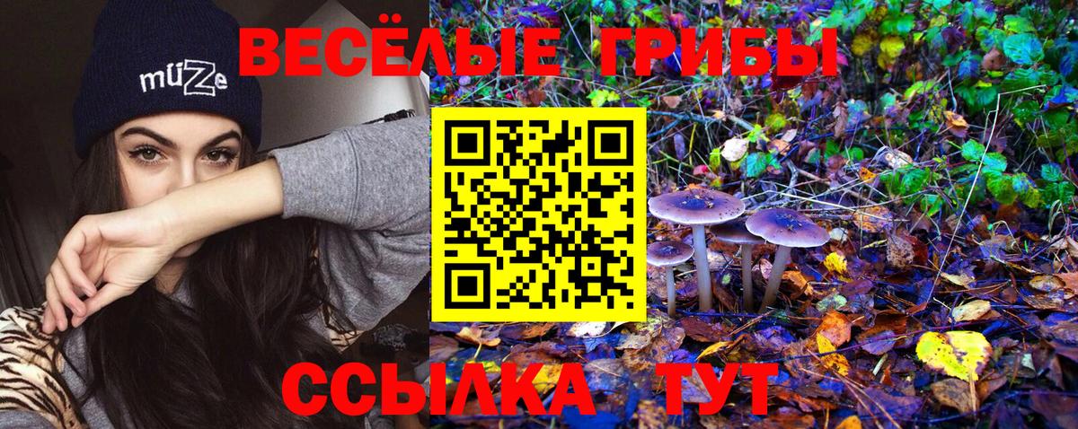 Галлюциногенные грибы Psilocybe  Вход с VPN  Спасск-Дальний 