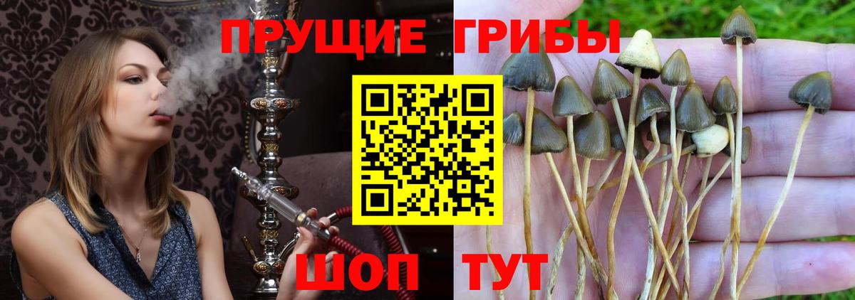 Псилоцибиновые грибы Magic Shrooms Спасск-Дальний